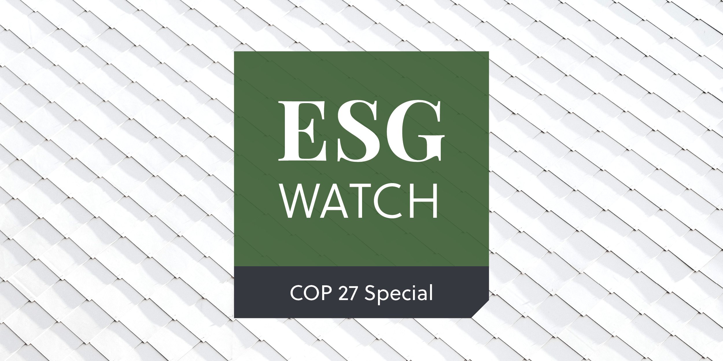 ESG Watch COP27 Special