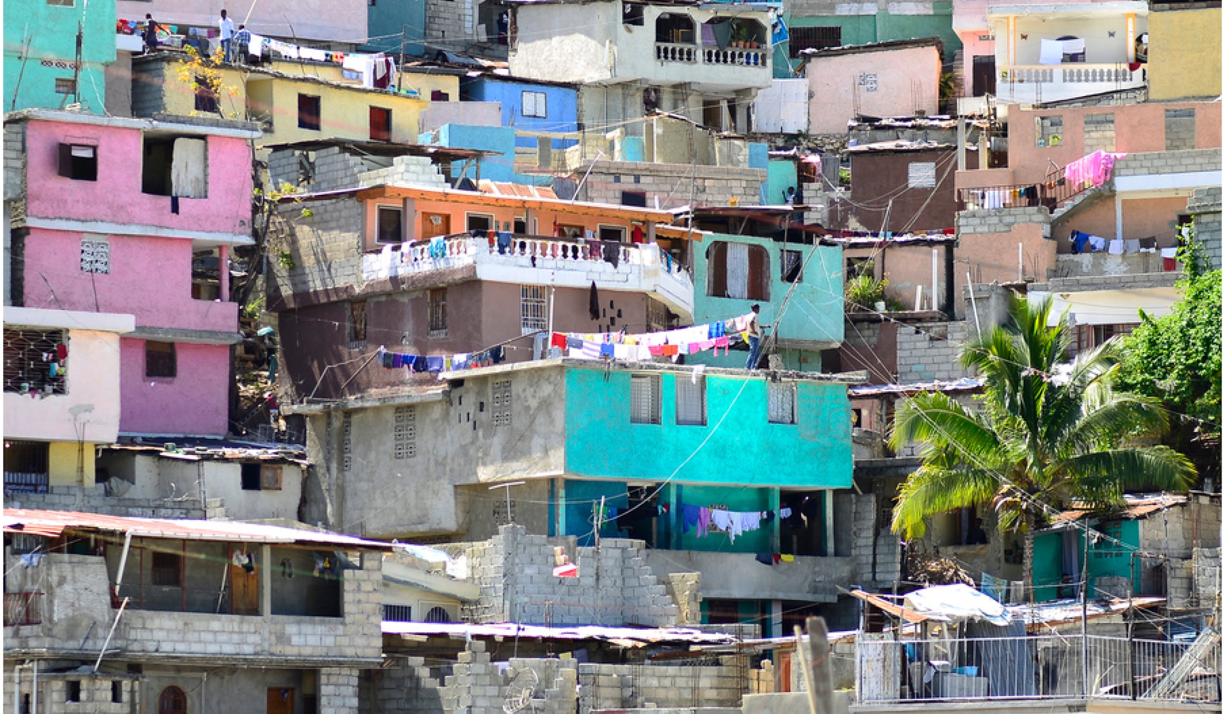 Gangs in the Caribbean